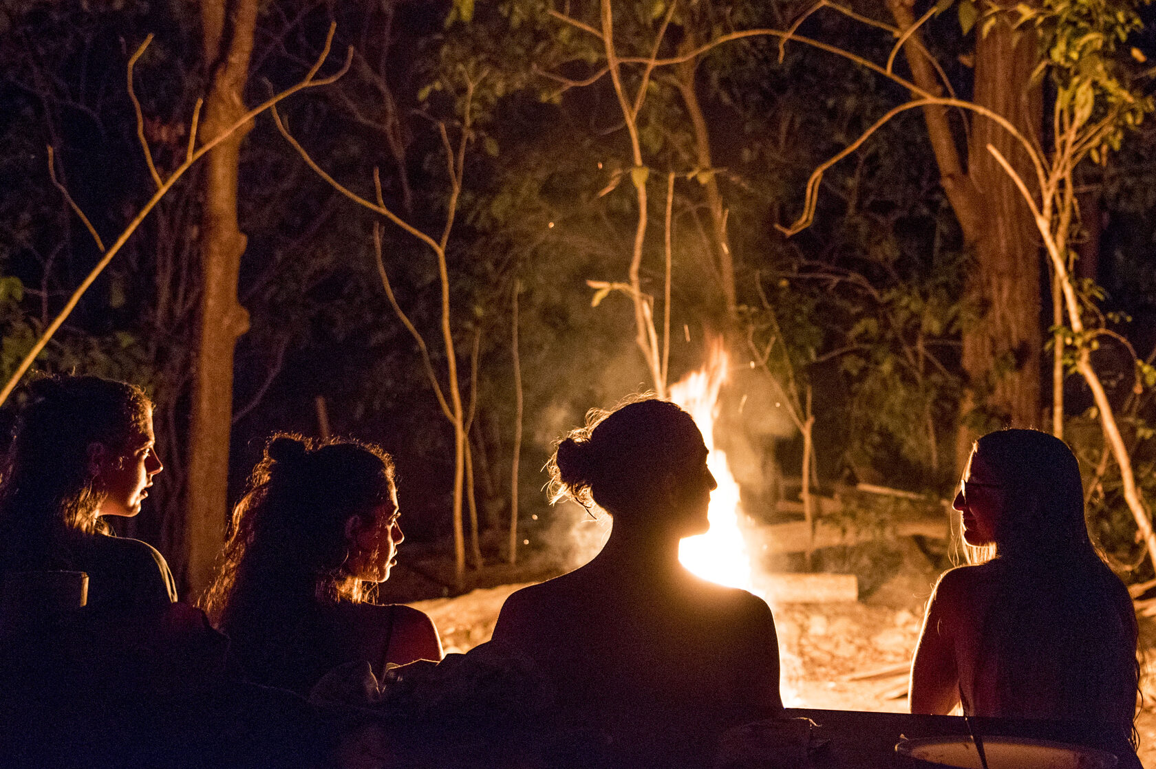 Friends gathered around a bonfire under the trees at night
