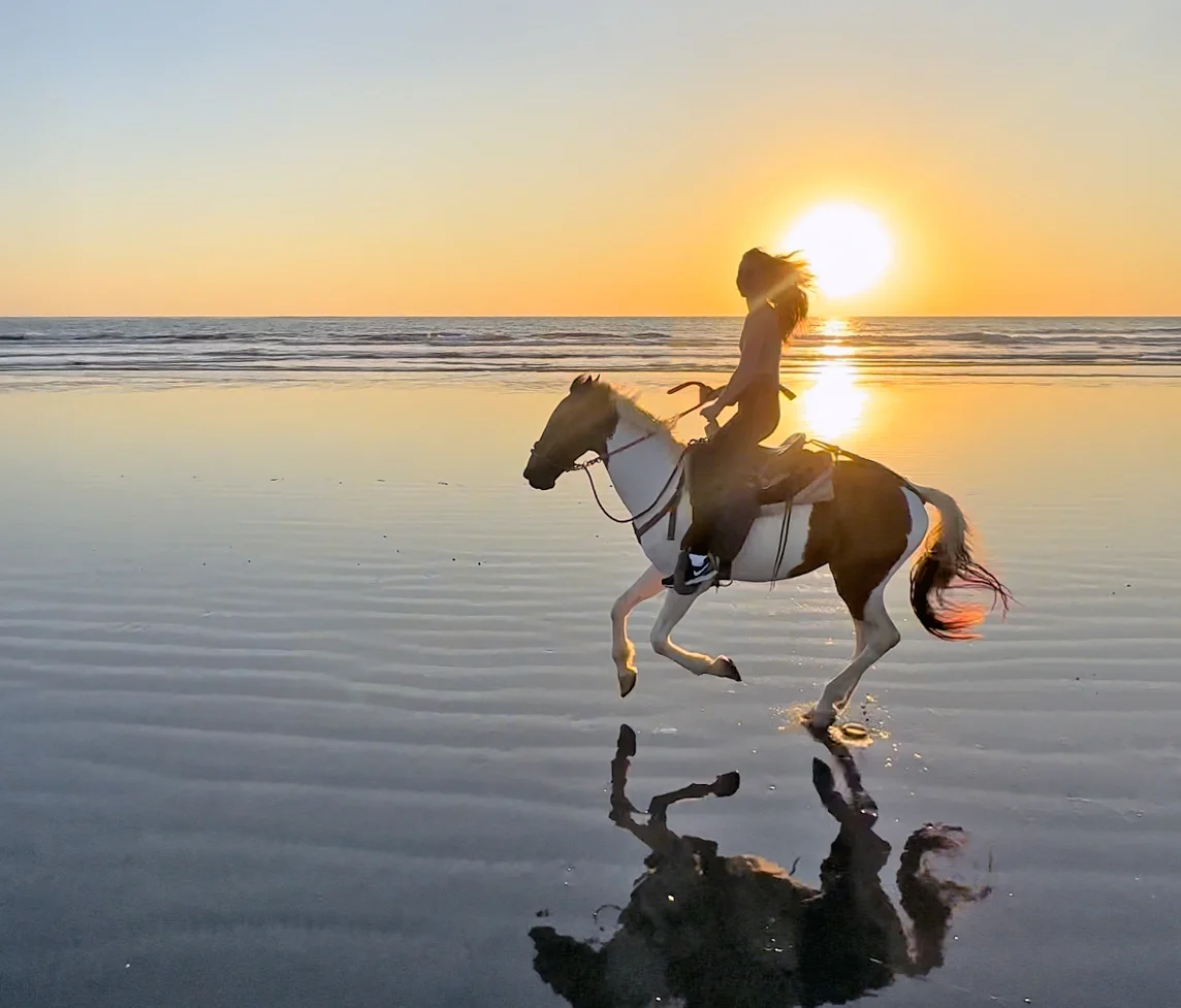Horseback riding on the beach at sunset